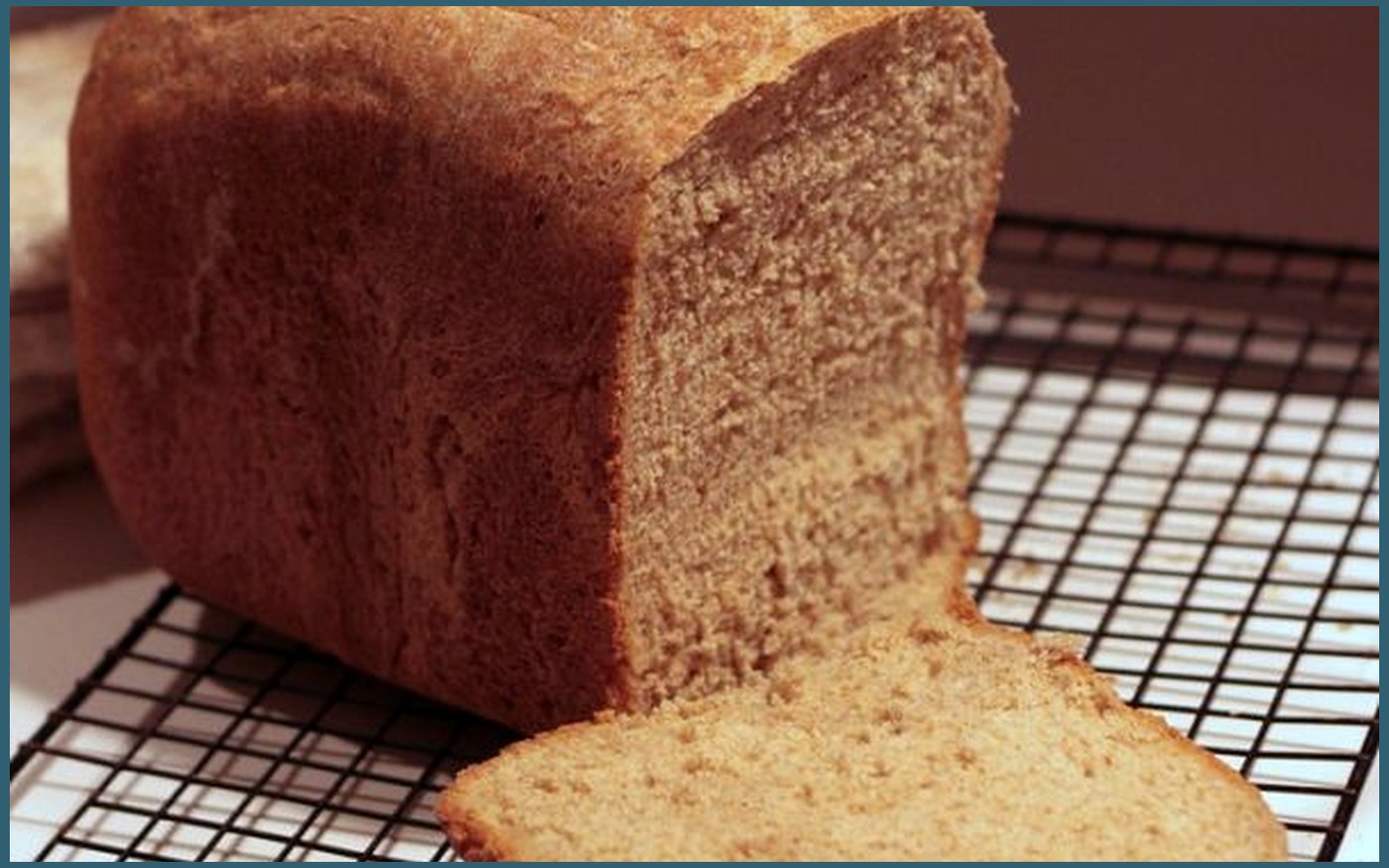 Bread Makers buying guide image