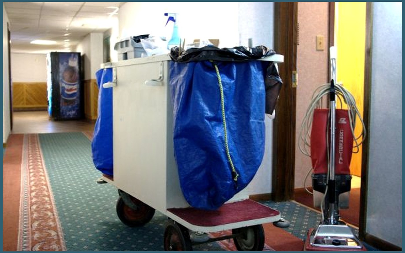 Carpet Cleaners buying guide image