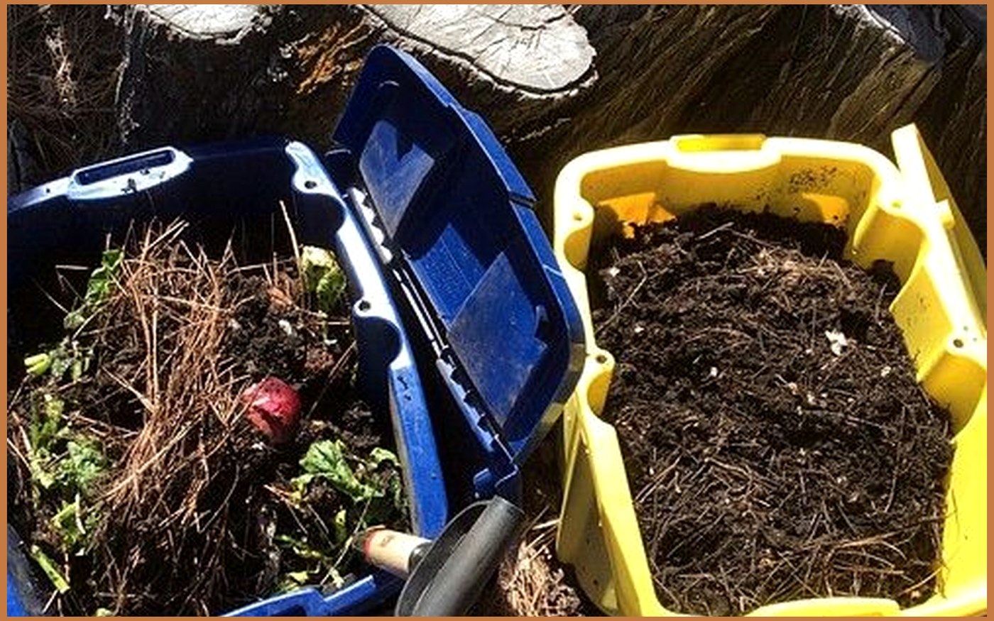 Compost Bins buying guide image