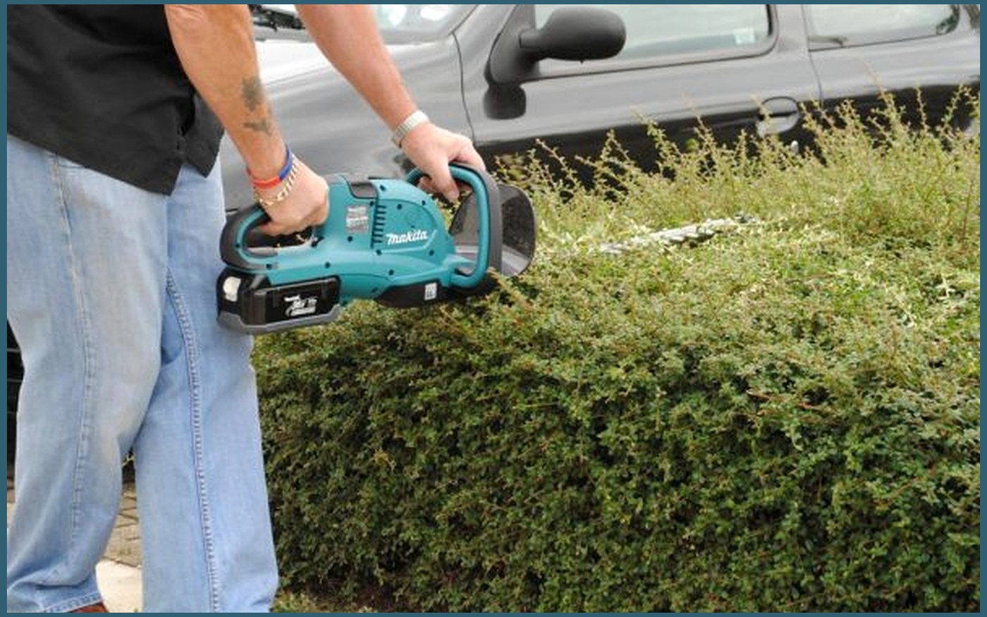 Hedge Trimmers buying guide image